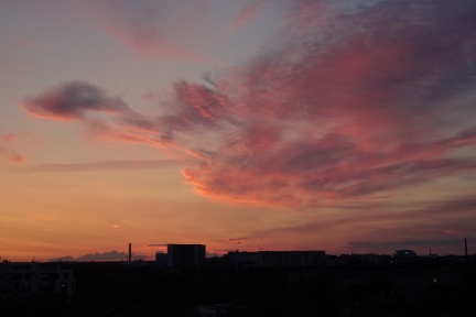 DSC03247